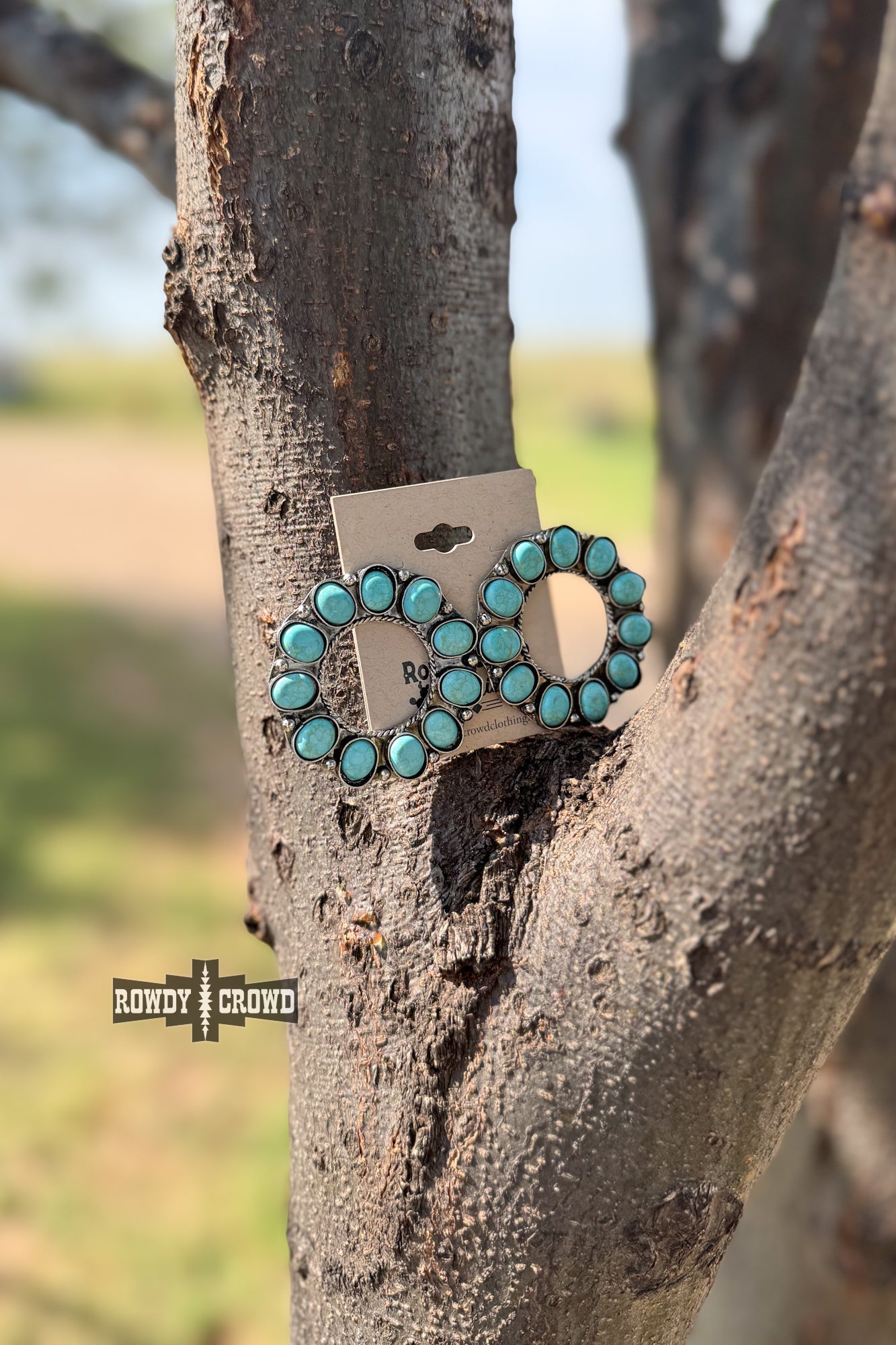 Chaco Canyon Studs