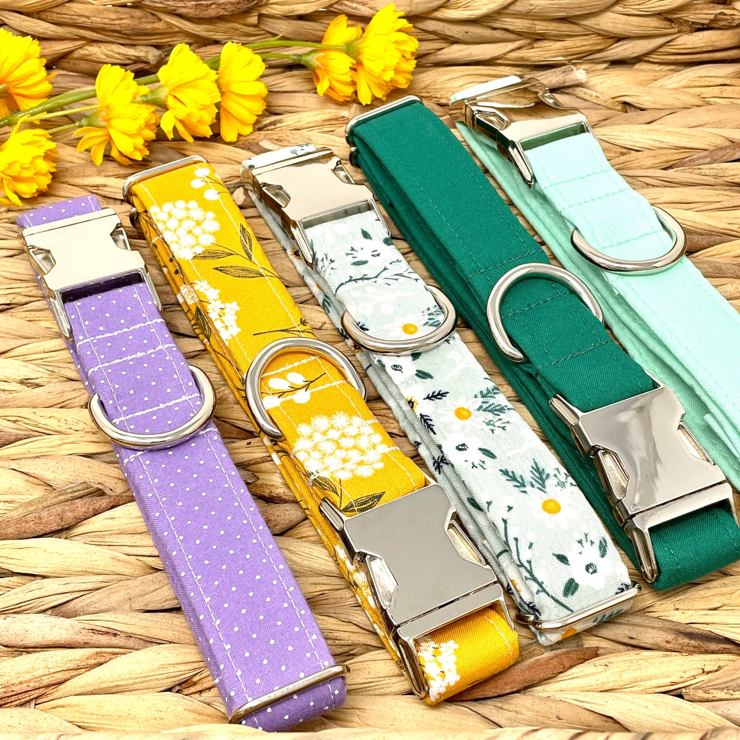 Mint Daisies Floral Dog Collar