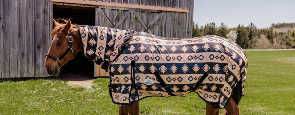 Super Fun Uv Protectant Fly Sheets with attached  Neck cover