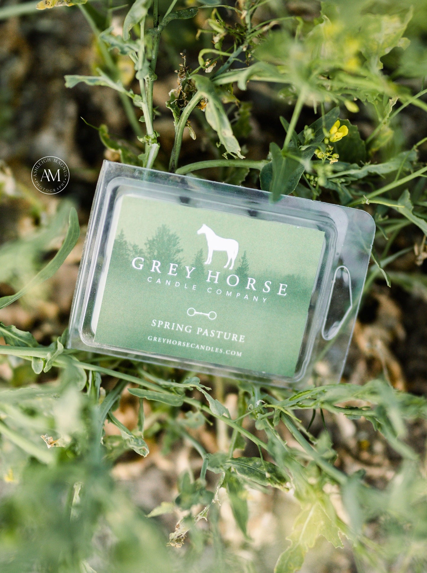 SPRING PASTURE - SCENT OF THE MONTH
