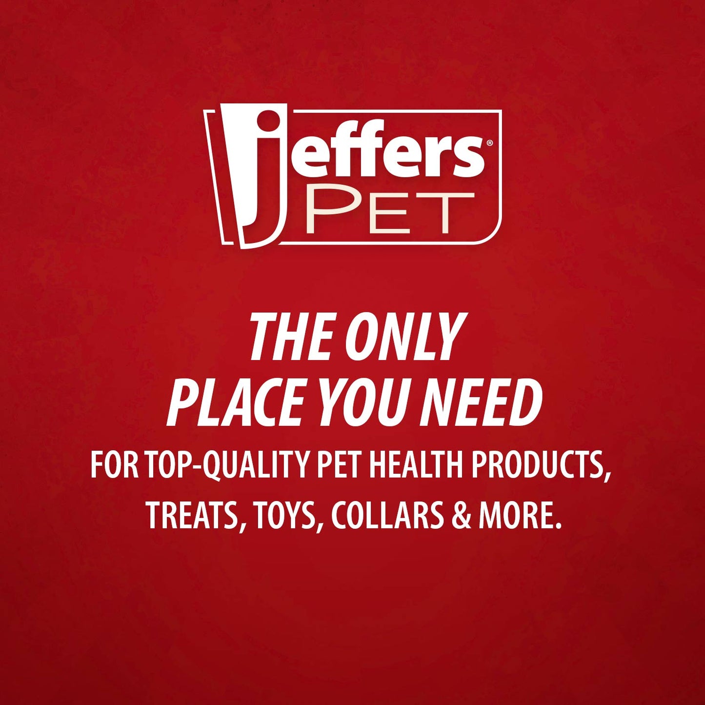 Jeffers Bowling Pin Natural Rubber Treat Dispensing Dental Chew Toy for Dogs