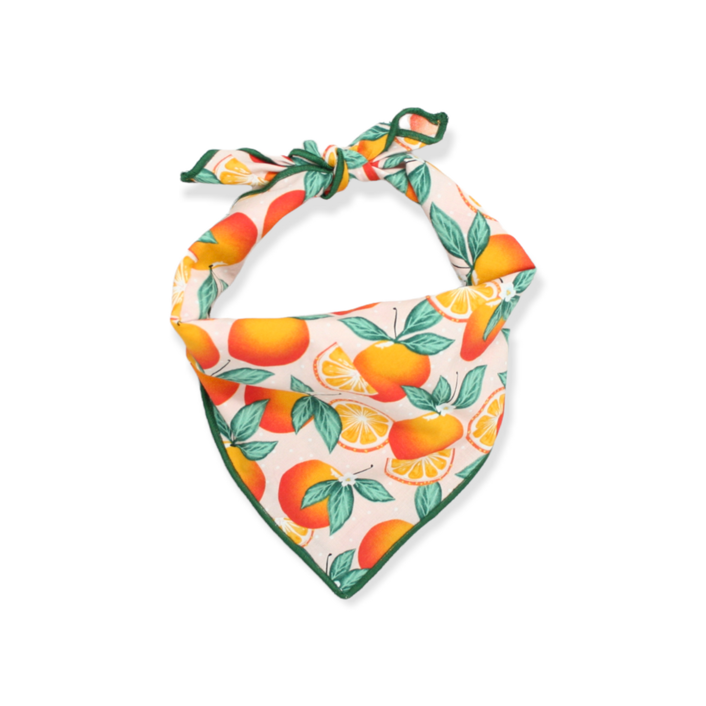 Oranges Dog Bandana