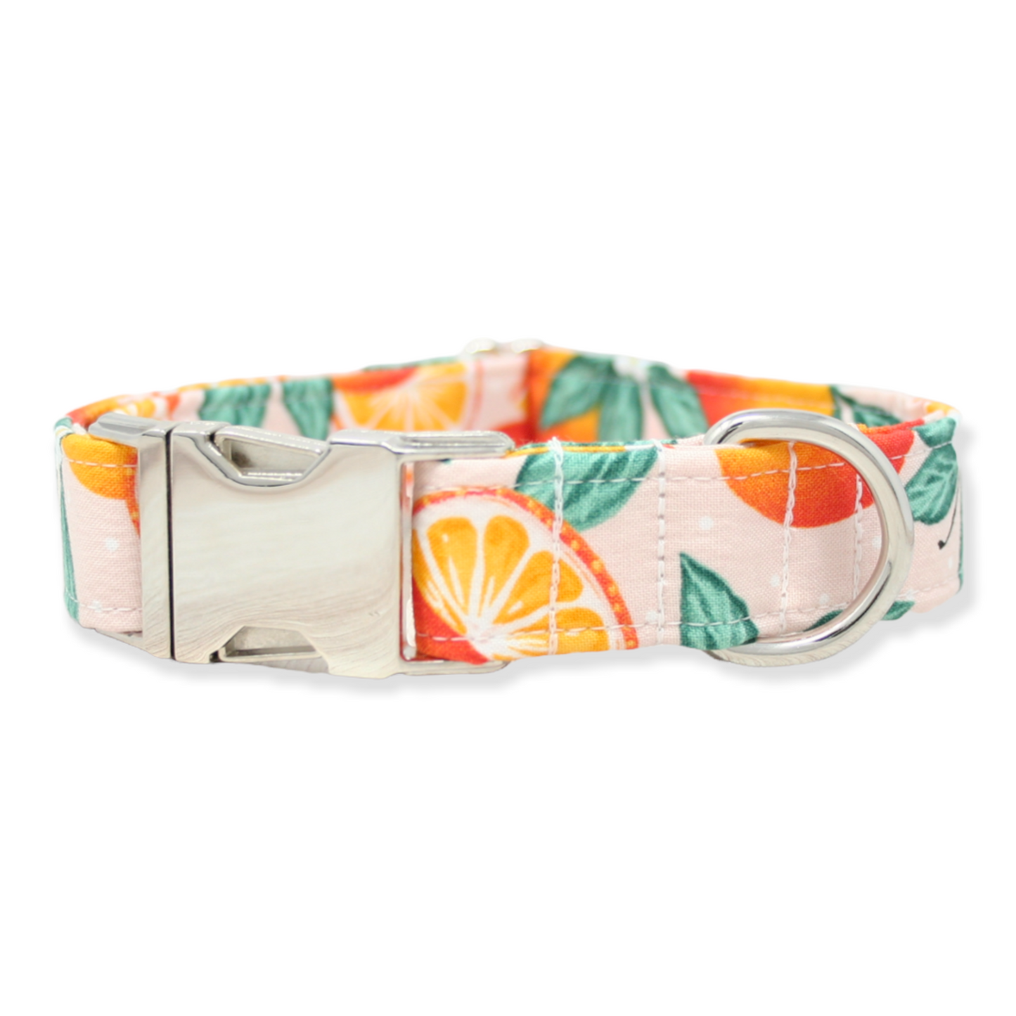 Oranges Dog Collar