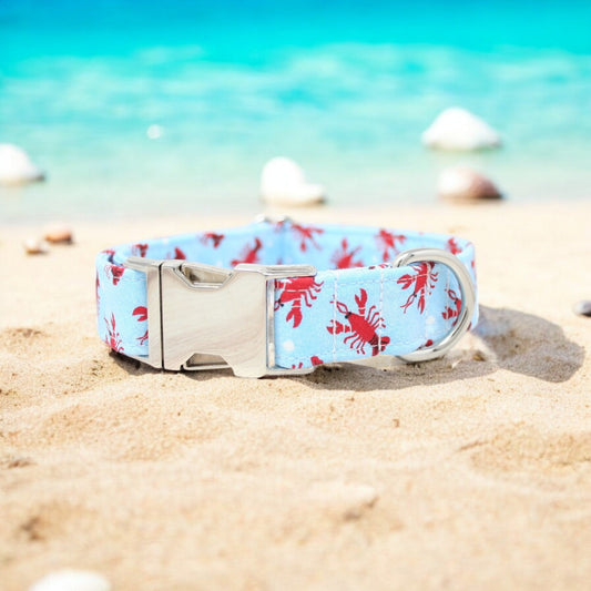 Lobsters Dog Collar