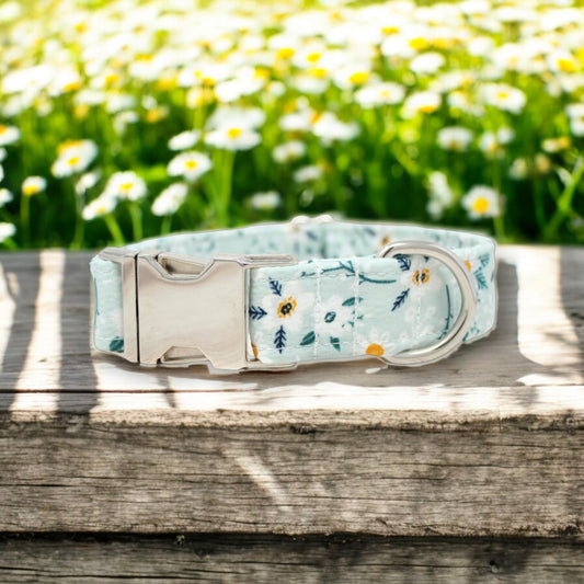 Mint Daisies Floral Dog Collar