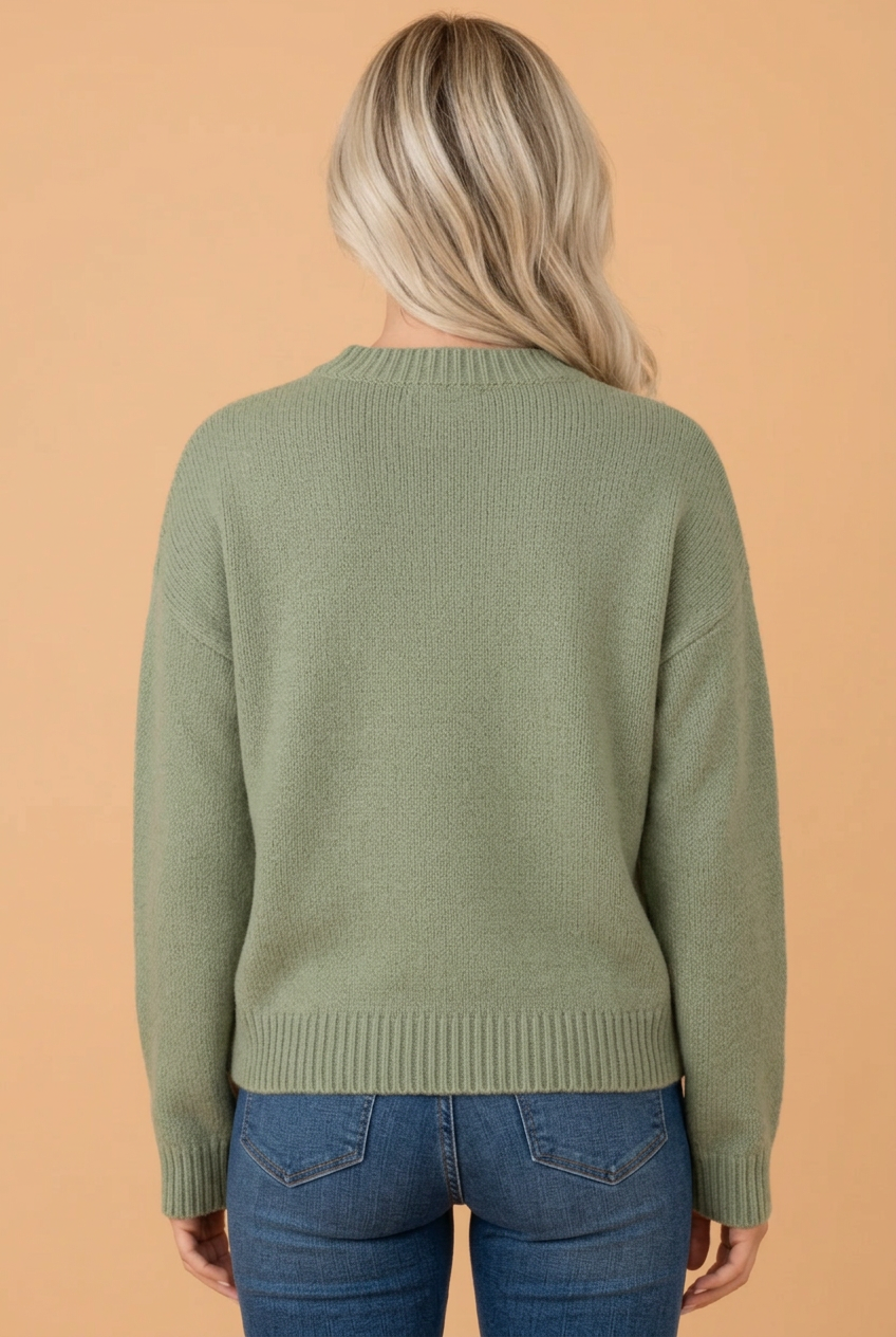 Mallard Graphic Drop Shoulder Crewneck Sweater