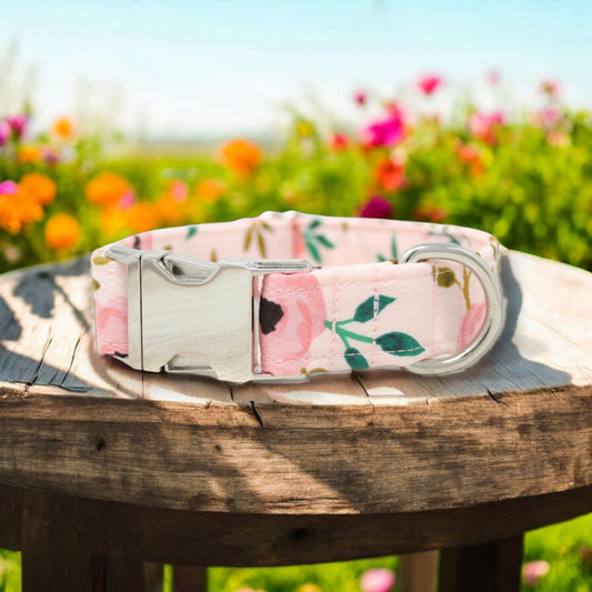 Pink Watercolor Floral Dog Collar
