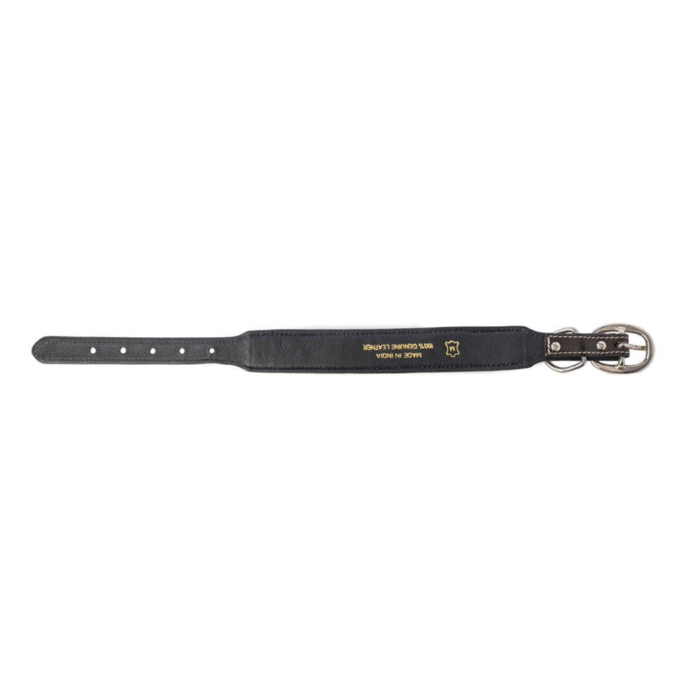 Midnight Canine Elegance Western Dog Collar in Black