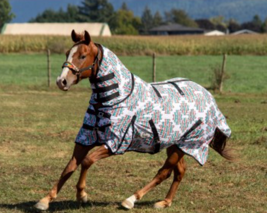 Serape Aztec Fly Sheet