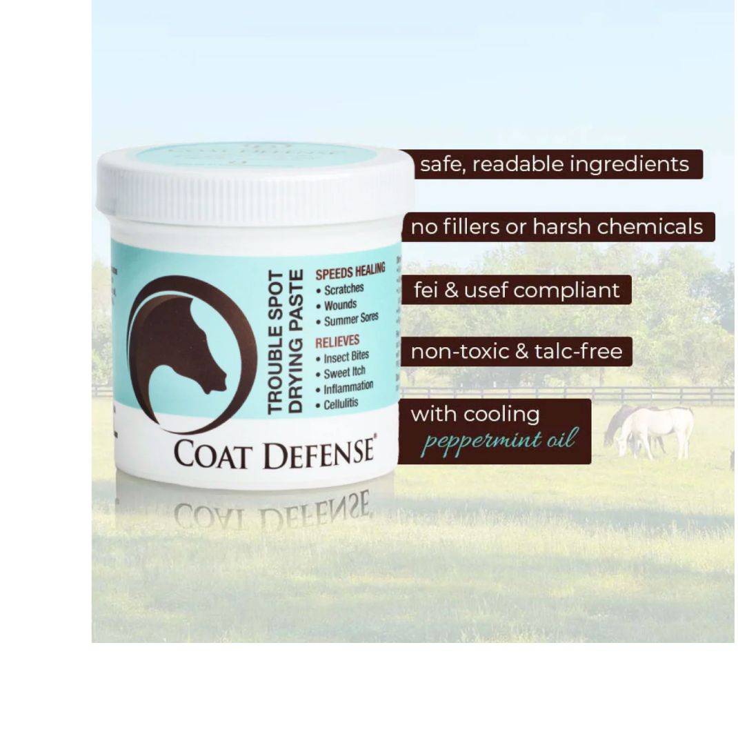 Coat Defense Trouble Spot Drying Paste