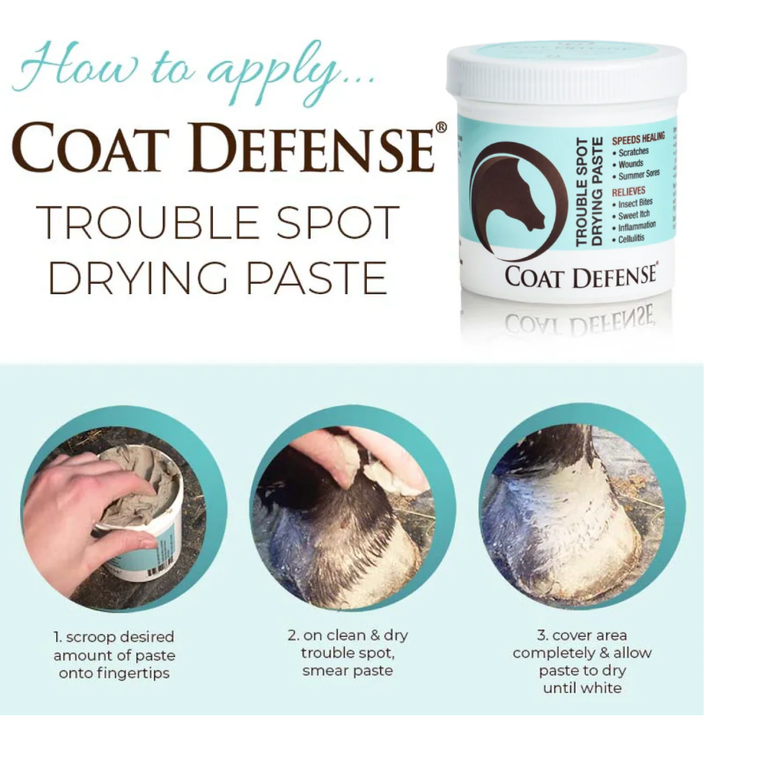 Coat Defense Trouble Spot Drying Paste