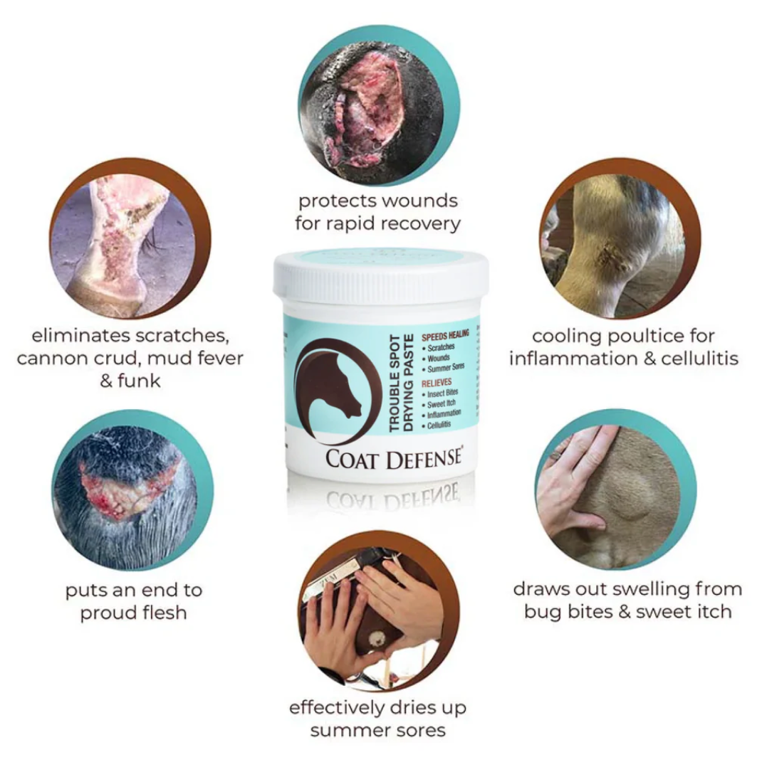 Coat Defense Trouble Spot Drying Paste