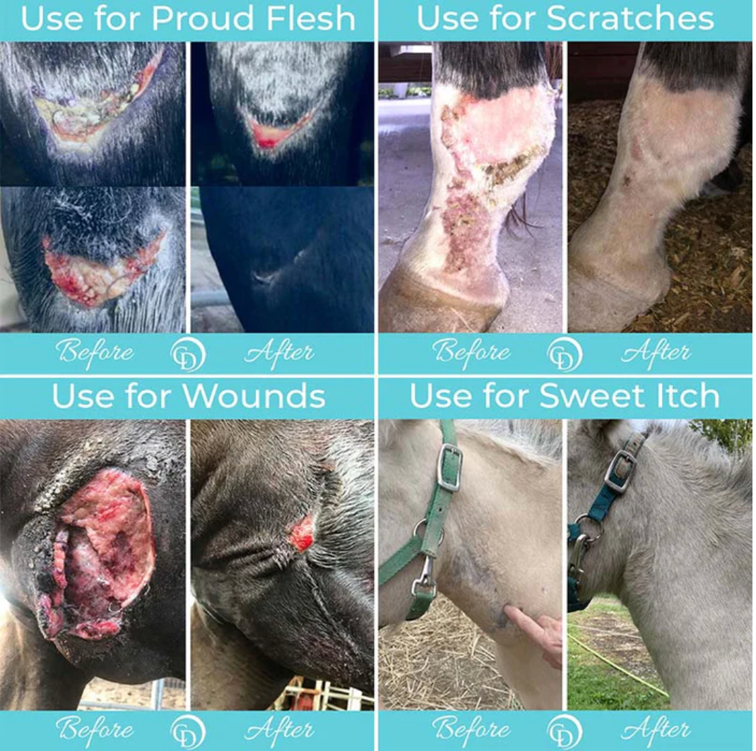 Coat Defense Trouble Spot Drying Paste