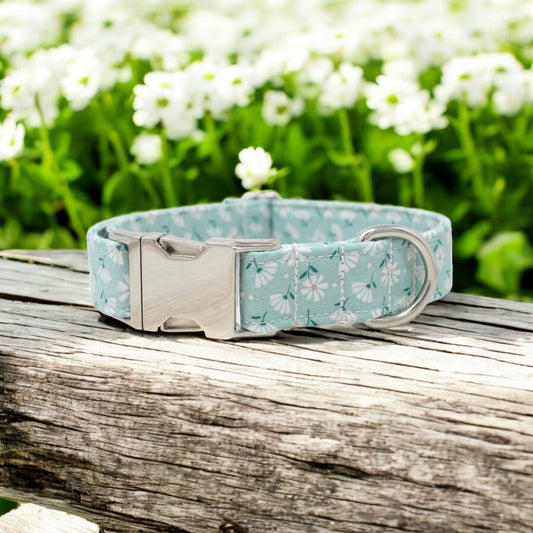 Teal and White Flowers Dog Collar