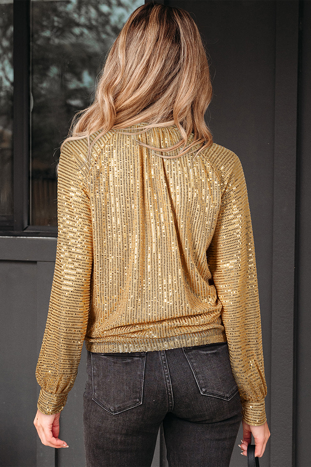 Solid Metallic Sequin Balloon Sleeve Blouse