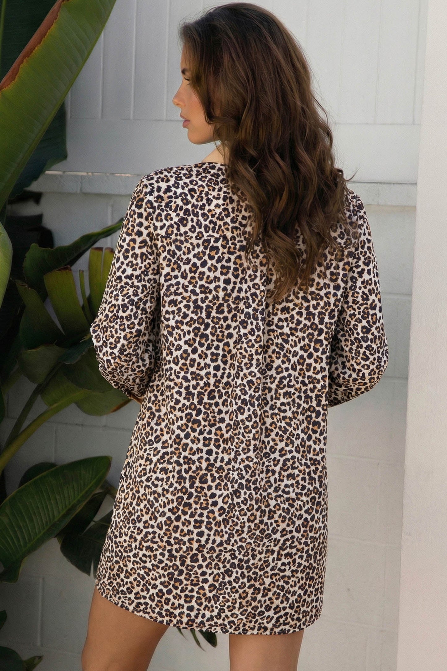 Leopard Stripe Collar Half Buttoned Flared Dress