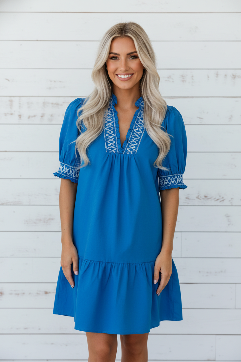 Embroidered Smock V-Neck Puff Sleeve Mini Dress