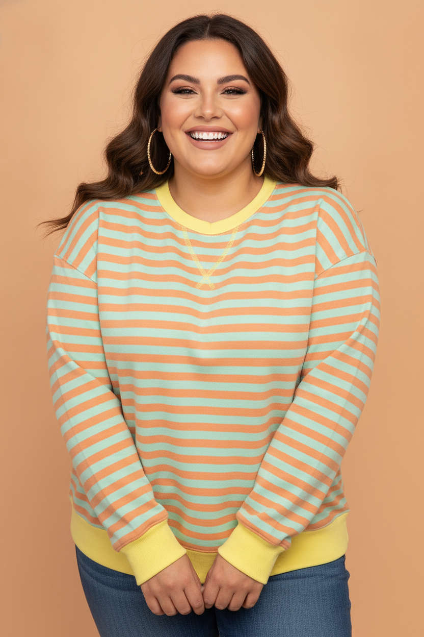 Plus Size Stripe Colorblock Long Sleeve Tunic Sweatshirt