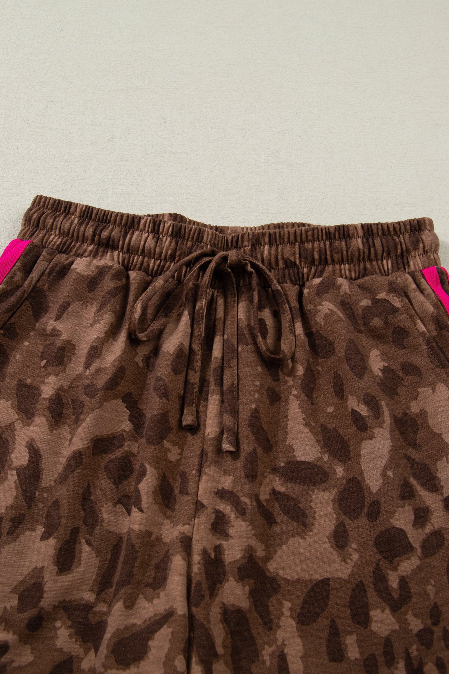 Leopard Contrast Stripe Tee and Shorts Two-Piece Set