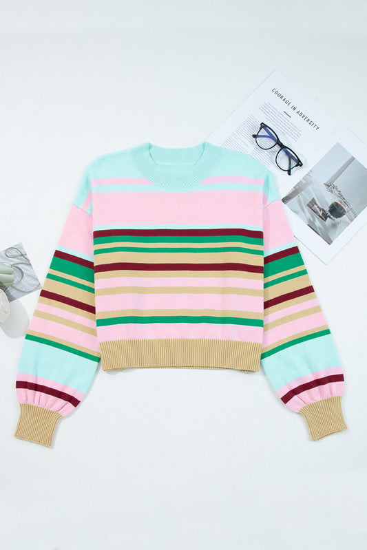 Stripe Ribbed Trim Crewneck Cropped Sweater