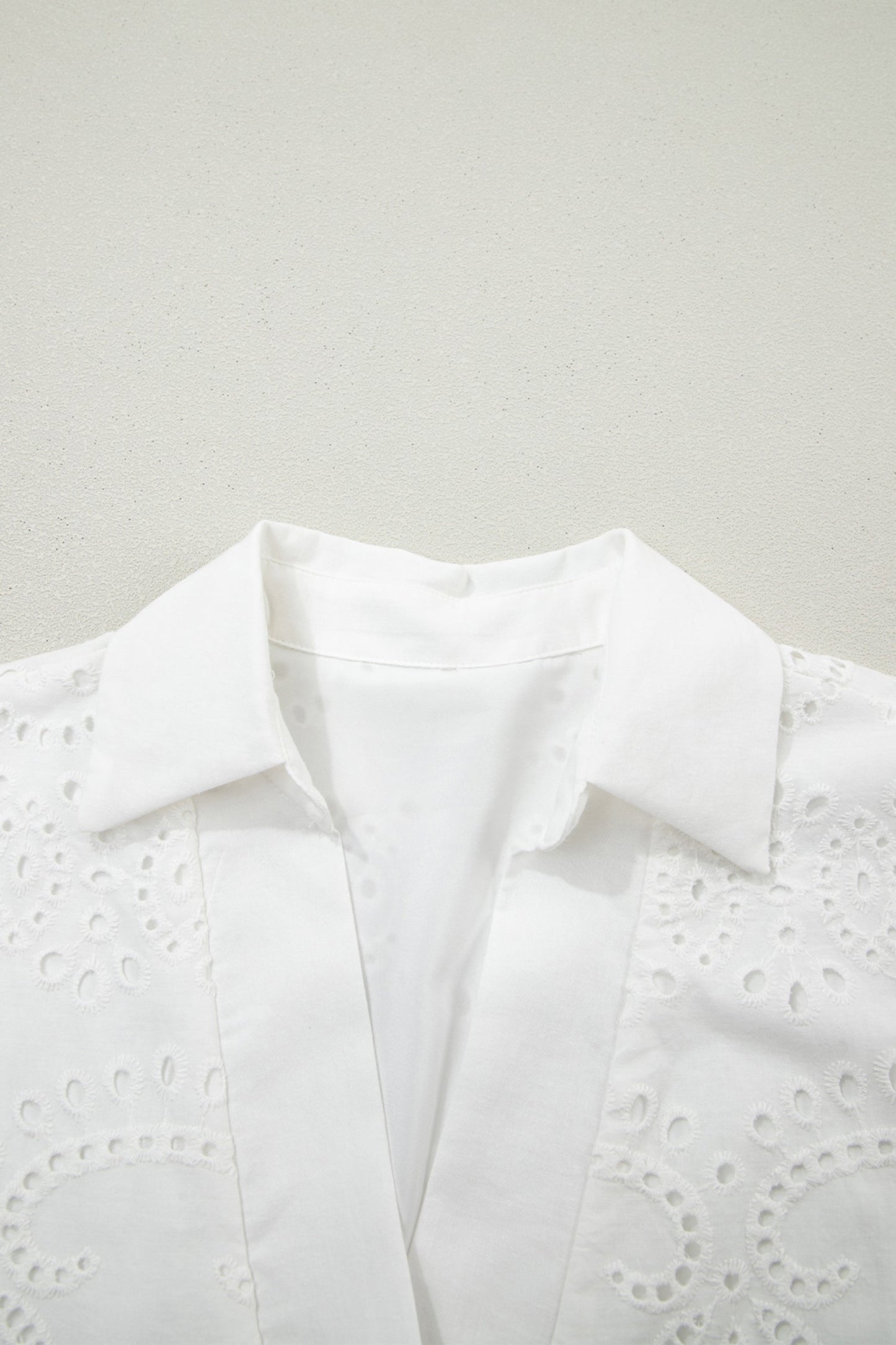 Solid Embroidered Eyelet Collared V-Neck Mini Dress