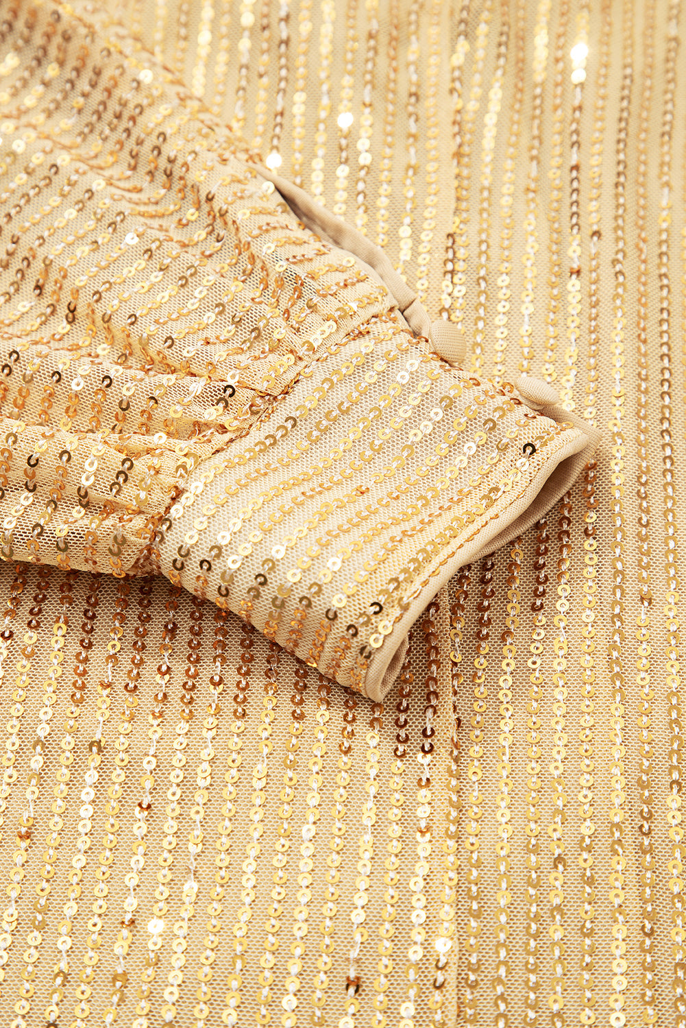 Solid Metallic Sequin Balloon Sleeve Blouse