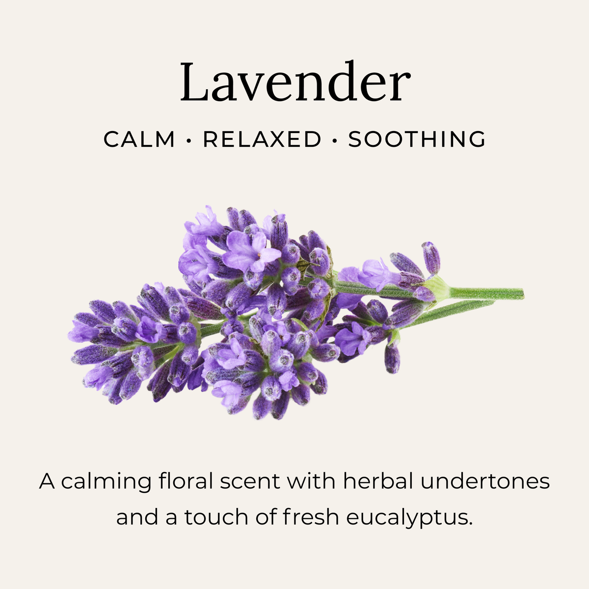 Lavender Deodorant Cream BEST deodarant out there!