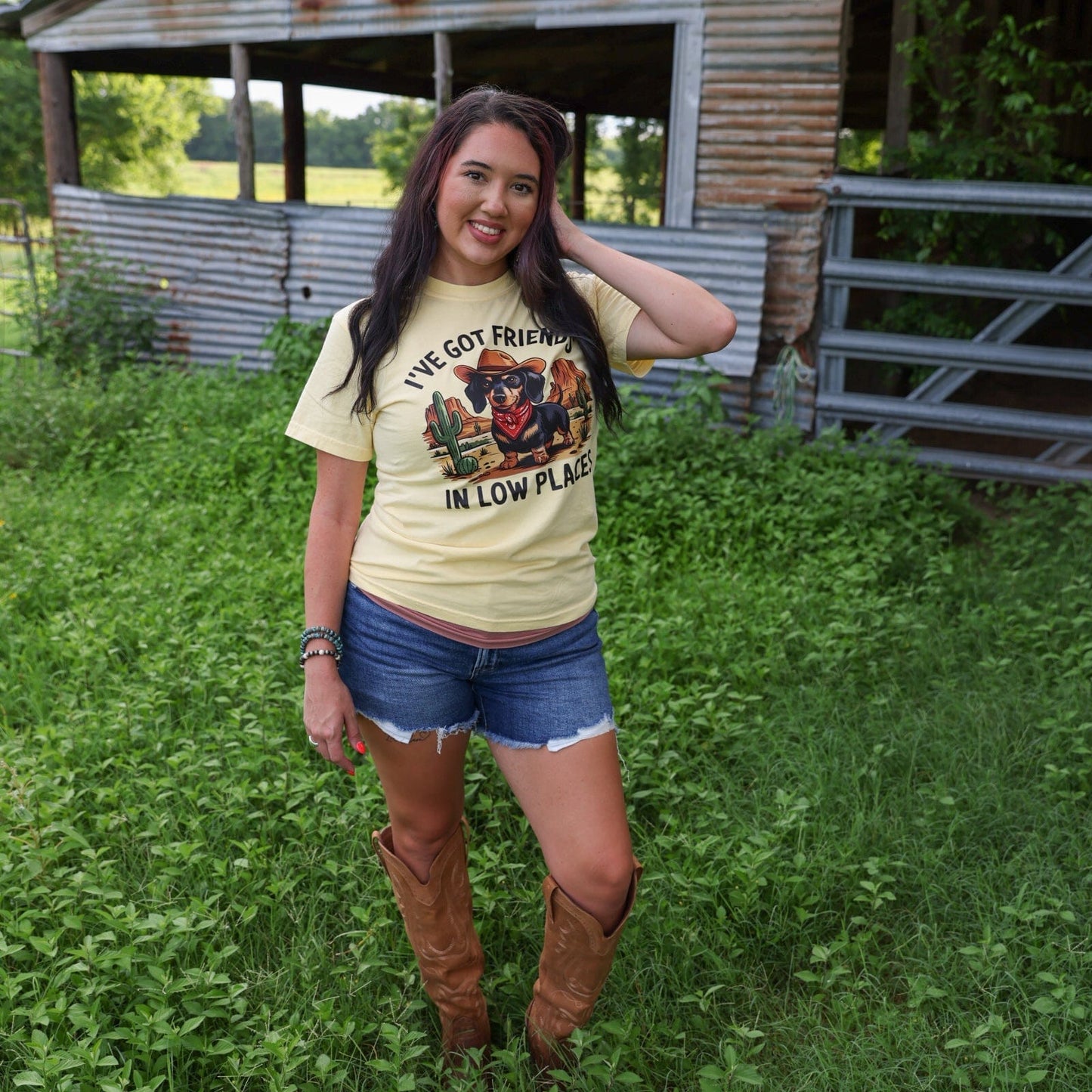 Friends in Low Places Cowboy Dog Soft Graphic Tee