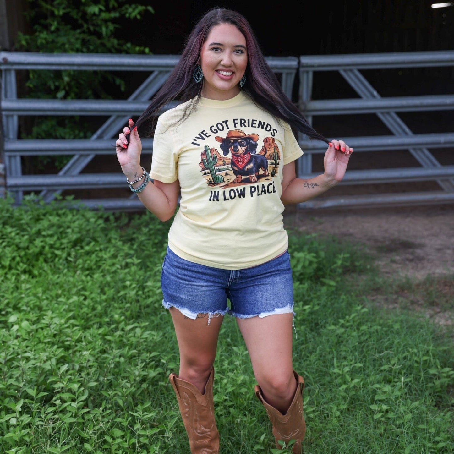 Friends in Low Places Cowboy Dog Soft Graphic Tee