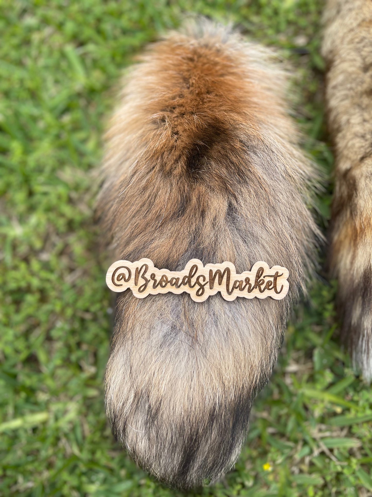 12” Red Fox