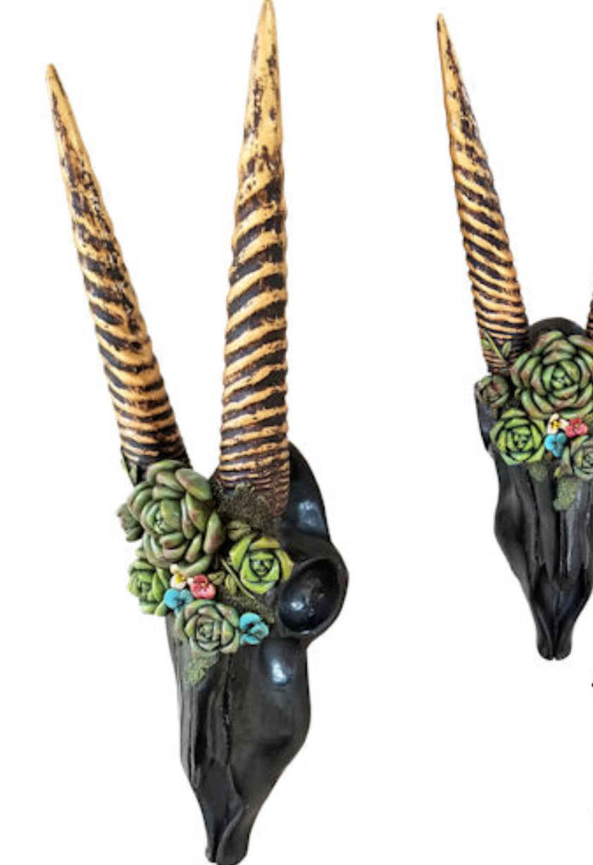 Black Succulent Skull