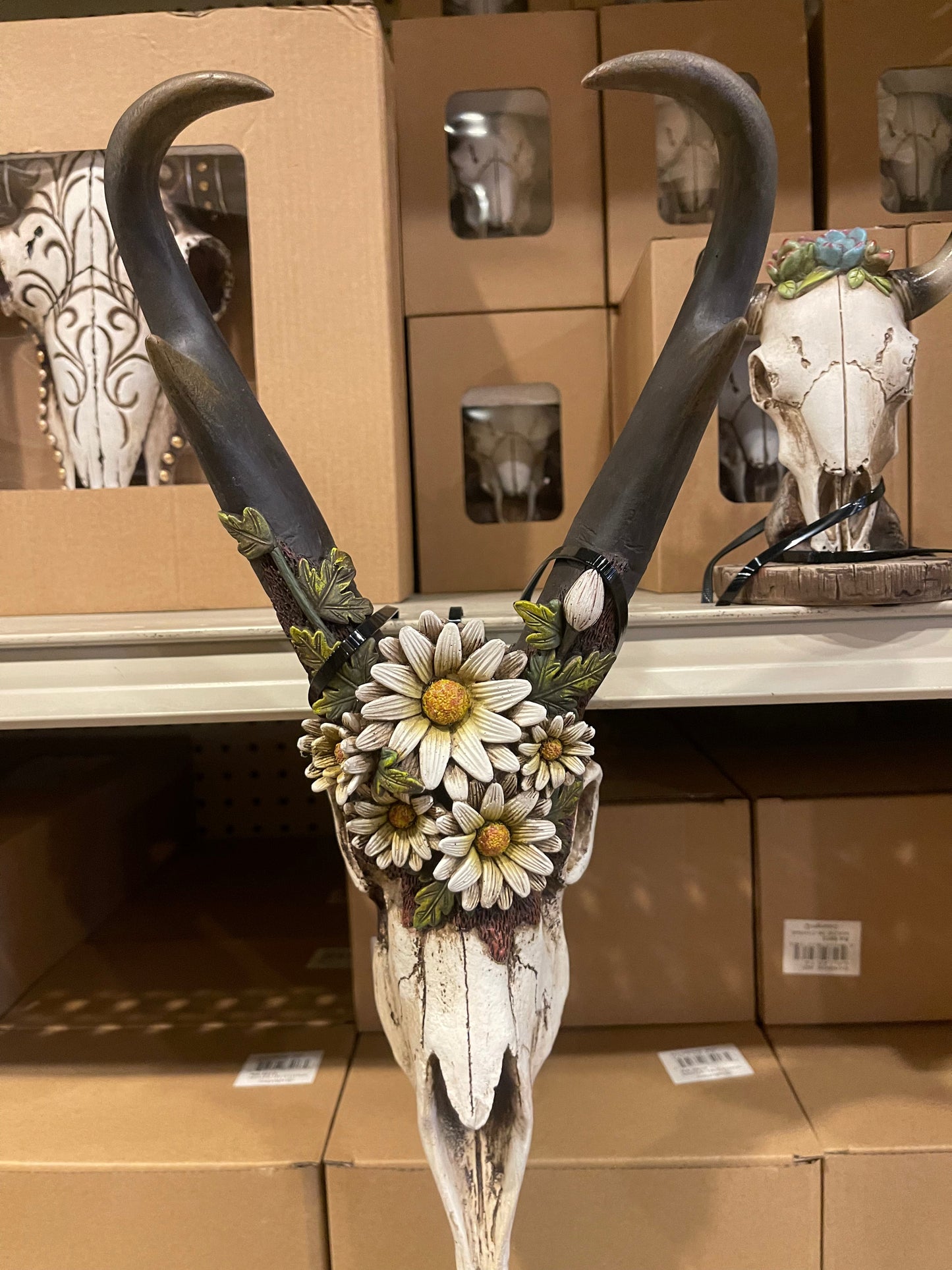 Daisy Floral Skull