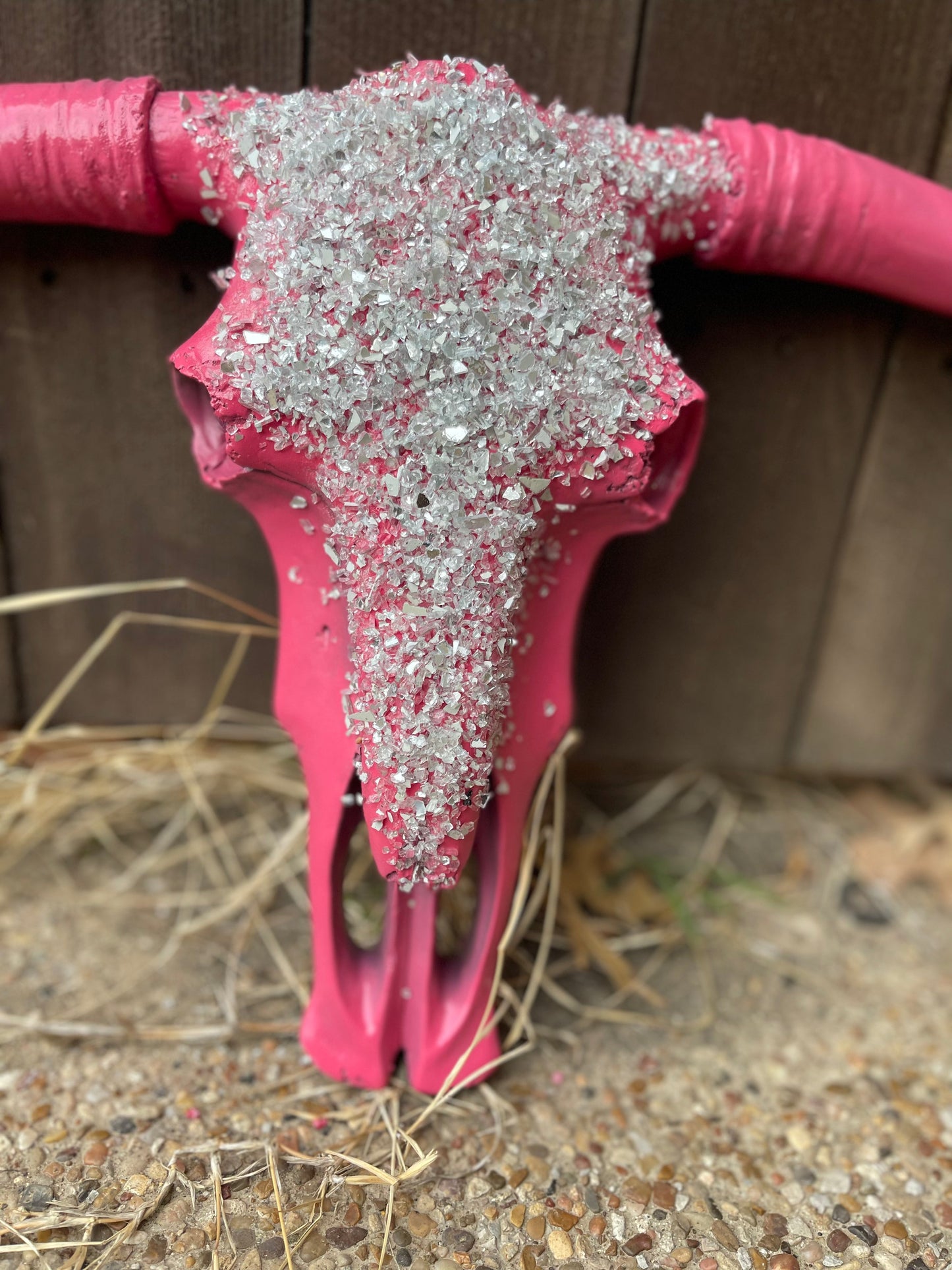 Matel Pink Cowskull - message to order