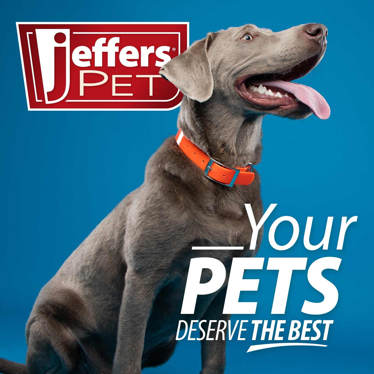 Jeffers Dog Ear Cleaning Wipes, 100 Count