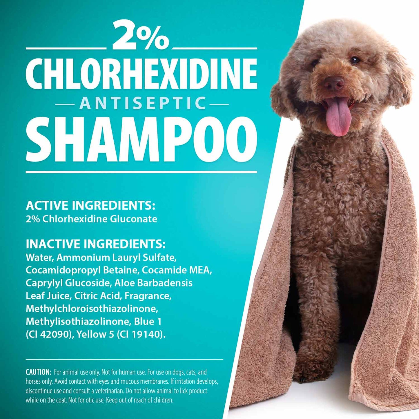 Jeffers Medicated 2% Chlorhexidine Shampoo for Dogs, Cats & Horses