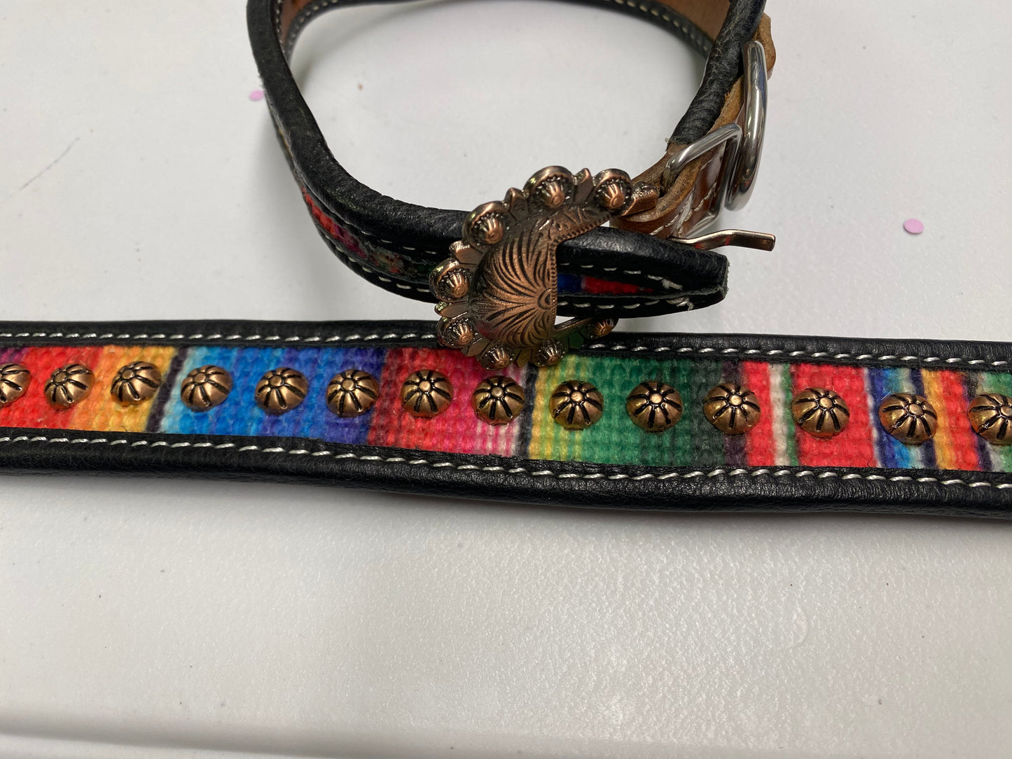 Leather Serape and Copper Dog Collar