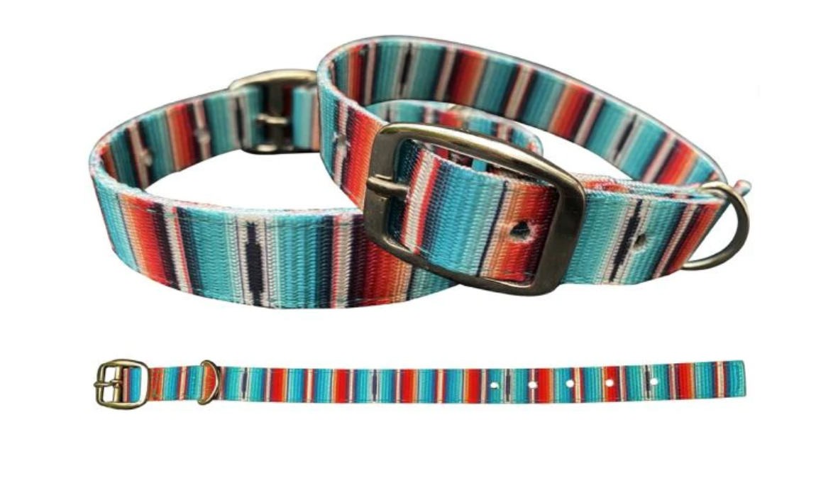 Teal Serape Nylon Dog Collar