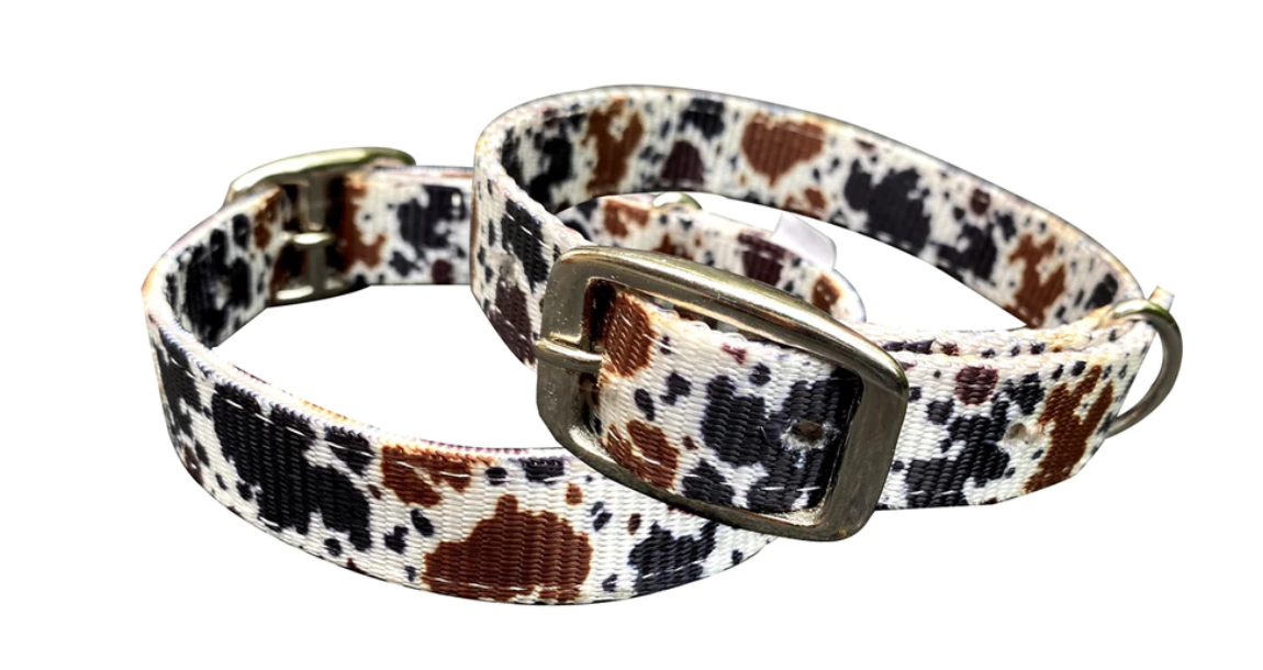 Cowprint Nylon Dog Collar