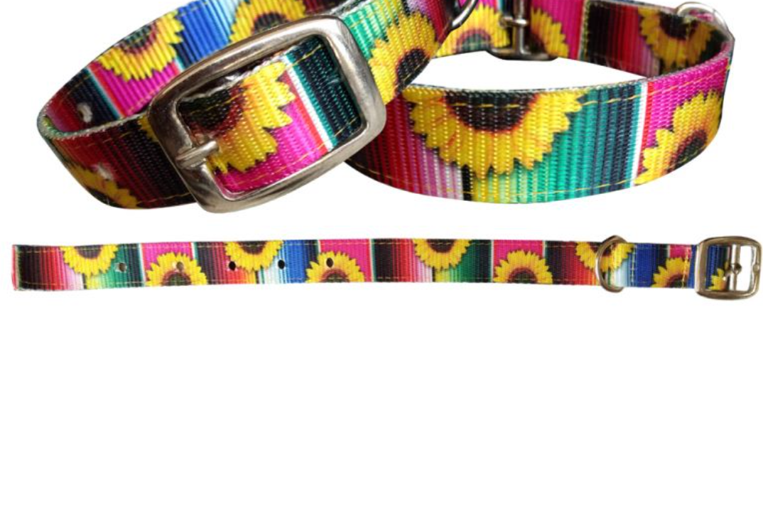 Serape and Sunflower Designed Nylon Dog Collar